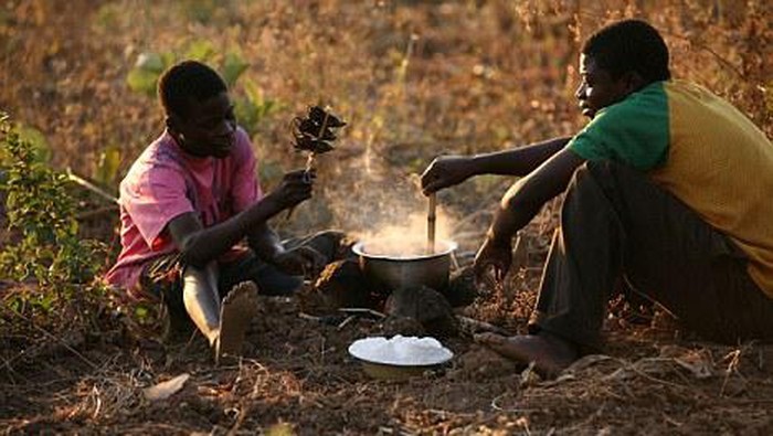 Orang di Afrika Makan Sate Tikus Untuk Atasi Kelaparan