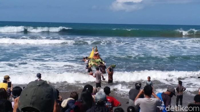 petik laut di pantai jolosutro
