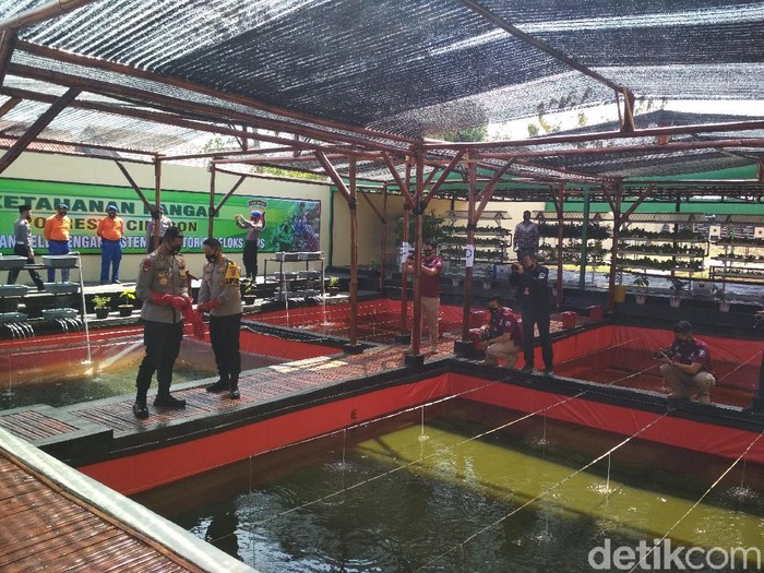 Polresta Cirebon sulap lapangan tembak menjadi kolam lele untuk membantu warga