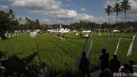Nuansa persawahan menjadi daya tarik tersendiri bagi wisatawan yang berasal dari kota-kota besar seperti Semarang, Magelang, dan Yogyakarta.