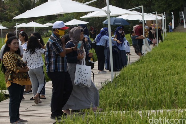Tempat wisata alternatif ini dibuka pada tanggal 8 Agustus 2020, dengan pengunjung setiap harinya rata-rata 200-500 orang. Tempat wisata alternatif ini dibuka pada tanggal 8 Agustus 2020, dengan pengunjung setiap harinya rata-rata 200-500 orang.Â