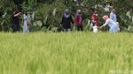 Potret SvargaBumi, Wisata Alternatif di Saat Pandemi Corona