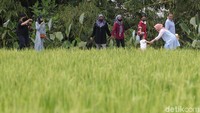 Wisatawan hadir dengan menerapkan protokol kesehatan, mencegah penyebaran virus Corona.  