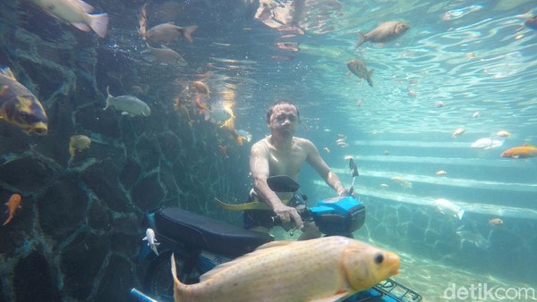 Pemandian yang Bikin Awet Muda, Bisa Foto Underwater Juga ...