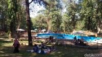 Destinasi ini memanfaatkan kawasan hutan pinus di area Taman Nasional Gunung Ciremai. Tempat wisata ini kerap dipadati pengunjung dari Cirebon dan Indramayu. (Bima Bagaskara/detikcom)