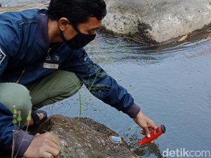 Komunitas Mahasiswa Ini Sebut Kali Brantas Malang Dikepung Mikroplastik