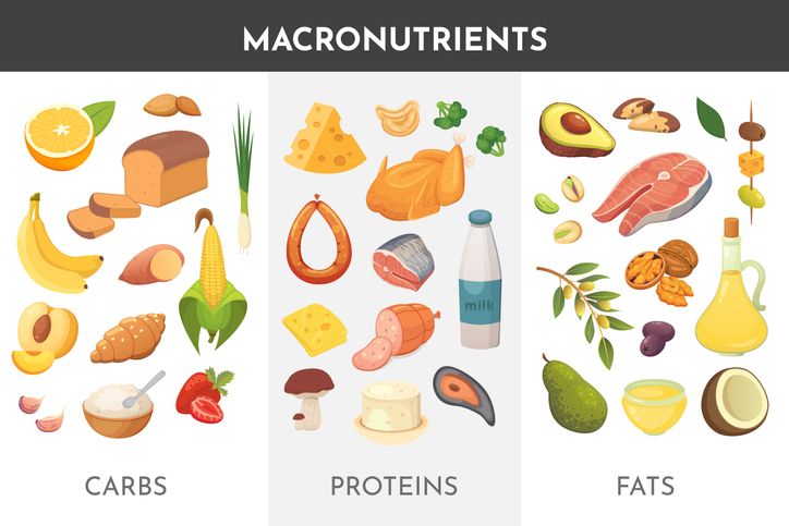 Diet makro