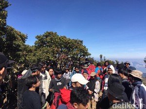Gunung Gede Dipadati Pendaki, Taman Nasional Sepelekan Corona?