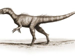 Jejak Kaki Dinosaurus Banyak Ditemukan di Pantai Wales