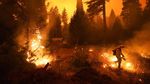 Potret Kobaran Api Lalap Hutan di California
