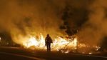 Potret Kobaran Api Lalap Hutan di California
