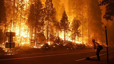 Potret Kobaran Api Lalap Hutan di California