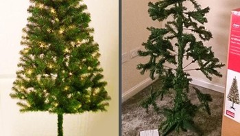 Pohon natalnya sudah layu dan rontok? Foto: Brightside