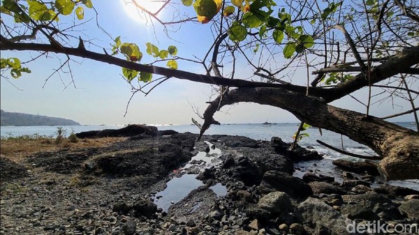 Pulau tersebut dihiasi dengan pasir putih, air laut yang begitu jernih, batu karang yang begitu eksotis sangat cocok bagi anda yang suka snorkeling. Pohon yang rimbun memberikan keteduhan bagi pengunjungnya. Pulau tersebut dihiasi dengan pasir putih, air laut yang begitu jernih, batu karang yang begitu eksotis sangat cocok bagi anda yang suka snorkeling. Pohon yang rimbun memberikan keteduhan bagi pengunjungnya.
