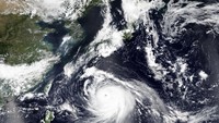 Badai bergerak ke utara dan bergerak di lepas pantai barat Kyushu sebelum mencapai Korea Selatan pada Senin (7/9) pagi waktu setempat.