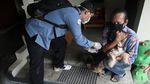 Ekspresi Anjing dan Kucing Saat Divaksin Rabies