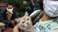 Pemberian vaksin rabies gratis ini sangat membantu warga yang memiliki hewan peliharaan seperti anjing dan kucing. 