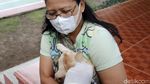 Ekspresi Anjing dan Kucing Saat Divaksin Rabies