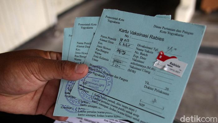 Petugas menyuntikan vaksin rabies secara gratis untuk hewan peliharaan warga di Kelurahan Gunungketur, Yogyakarta, Senin (7/9/2020).