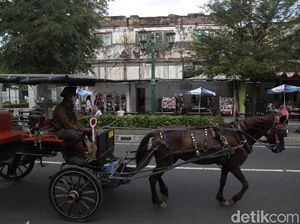Keberadaan Andong di Malioboro, Kucing-kucingan hingga Jadi Ikon Wisata