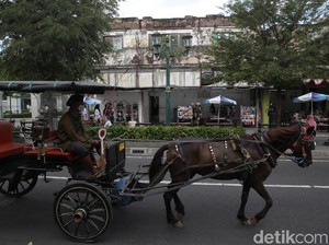 Keberadaan Andong di Malioboro, Kucing-kucingan hingga Jadi Ikon Wisata