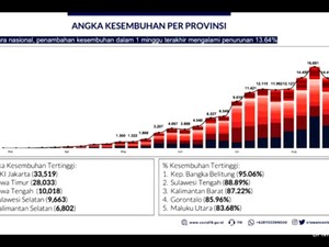 Kabar Baik! Angka Kesembuhan Corona di RI Naik 73,8%