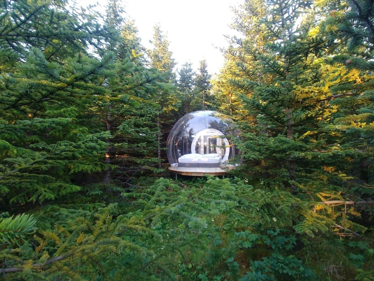 Buuble Hotel