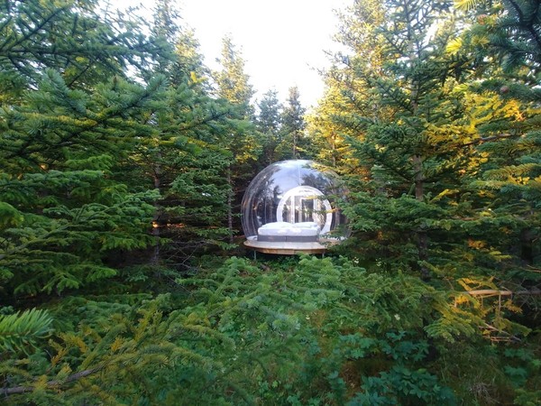 Buuble Hotel ini memiliki dua cabang di Islandia, yakni di Golden Circle dan di daerah pantai selatan. (Foto: buuble.com) Buuble Hotel ini memiliki dua cabang di Islandia, yakni di Golden Circle dan di daerah pantai selatan. (Foto: buuble.com)