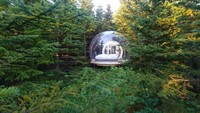Buuble Hotel ini memiliki dua cabang di Islandia, yakni di Golden Circle dan di daerah pantai selatan. (Foto: buuble.com)