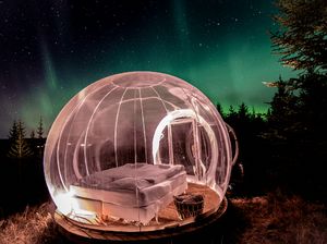 Mau Lihat Aurora? Bisa dari Hotel Gelembung Islandia