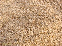 Deretan Kamuflase Hewan yang Bikin Mata Terkecoh