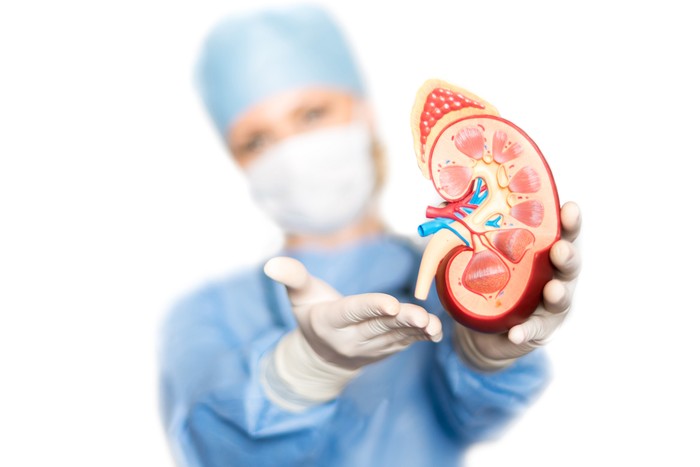Berperan ekskresi hati organ dalam yang proses merupakan 6 Cara