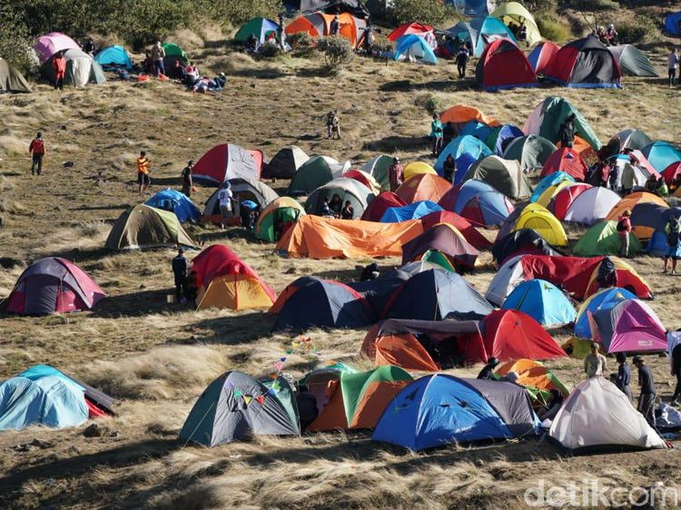 Ribuan Pendaki di Gunung Gede, Taman Nasional Sebut Cuma Ratusan