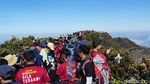 Ribuan Pendaki di Gunung Gede, Taman Nasional Sebut Cuma Ratusan
