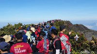 Suasana di Puncak Gunung Gede yang padat dengan pendaki. (Femi Diah/detikTravel)