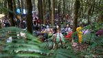 Ribuan Pendaki di Gunung Gede, Taman Nasional Sebut Cuma Ratusan