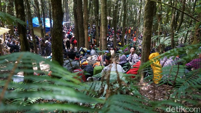 Gunung Gede via Gunung Putri