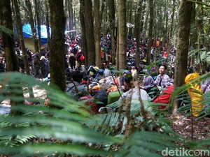 Hati-Hati! Gunung Gede Seperti Pasar Pas Akhir Pekan