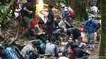 Ribuan Pendaki di Gunung Gede, Taman Nasional Sebut Cuma Ratusan