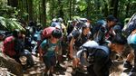 Ribuan Pendaki di Gunung Gede, Taman Nasional Sebut Cuma Ratusan