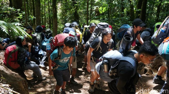 Gunung Gede via Gunung Putri