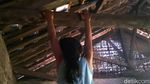 Hobi Panjat Lemari-Pohon, Ini Adelia Spiderman Cilik dari Pekalongan