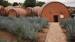 Ini Dia Hotel Bentuk Tong Tequila di Meksiko