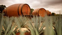 Hotel ini menawarkan pengalaman menginap di dalam tong tequila raksasa. Jika dilihat dari luar, bentuknya memang persis tong, ditambah di sekitarnya terdapat tanaman agave yang memang digunakan sebagai bahan baku produksi tequila di kawasan itu.  