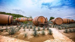 Ini Dia Hotel Bentuk Tong Tequila di Meksiko