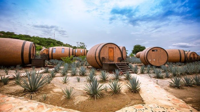 Hotel Tequila di Meksiko Hotel Tequila di Meksiko