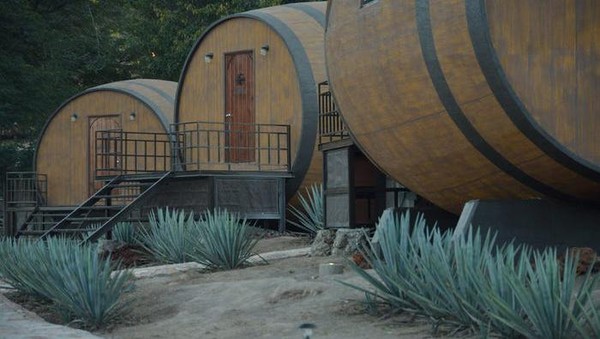 Fasilitas yang ditunggu-tunggu tamu hotel adalah mengikuti tur sambil mencicipi tequila langsung dari pabriknya. Di kawasan itu memang beroperasi pabrik yang mampu menghasilkan 15.000 tequila setiap harinya. Fasilitas yang ditunggu-tunggu tamu hotel adalah mengikuti tur sambil mencicipi tequila langsung dari pabriknya. Di kawasan itu memang beroperasi pabrik yang mampu menghasilkan 15.000 tequila setiap harinya.