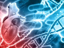 Stres Kerja, Wanita Muda Sempat Meninggal 7 Menit gegara Serangan Jantung