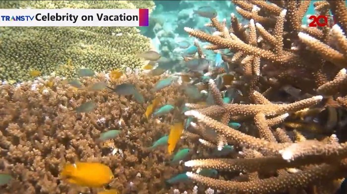 snorkeling di pantai kilo lima