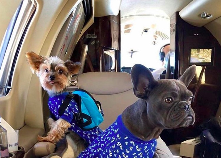 Rich Kids of Internet Rich Kids of Internet